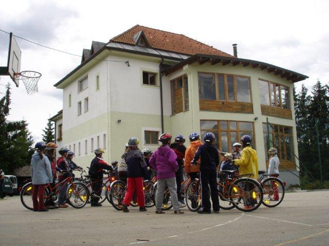cebelica
