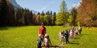 _MG_7945-5