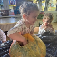 IMG-77ba49cbdaf4e01ac1d7fdd4d0e96948-V