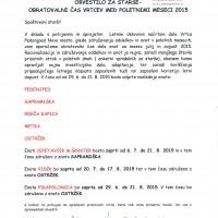 Obratovalni čas vrtcev med poletnimi meseci 2015