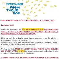 Organizacija dela v času poletnih šolskih počitnic 2018